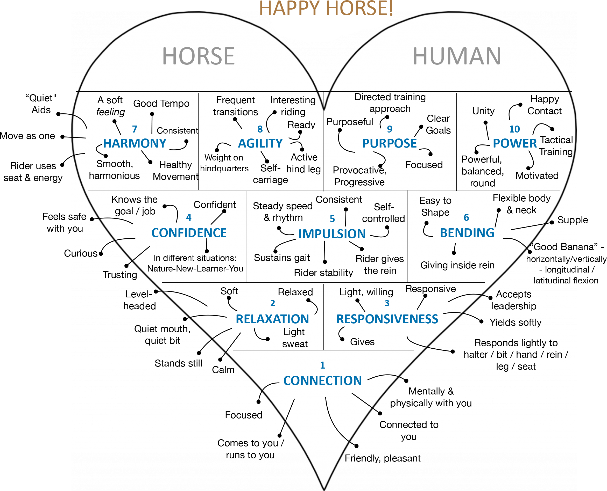 Happy Horse Curriculum Happy Horse Happy Life