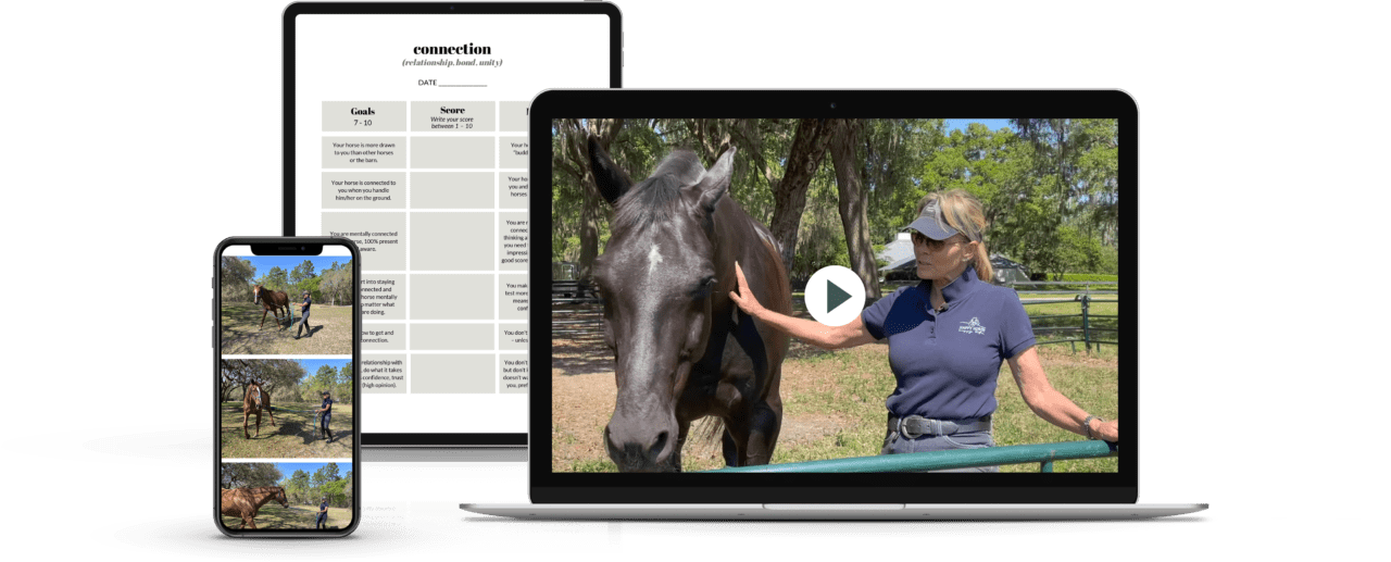 Happy Horse Curriculum Happy Horse Happy Life