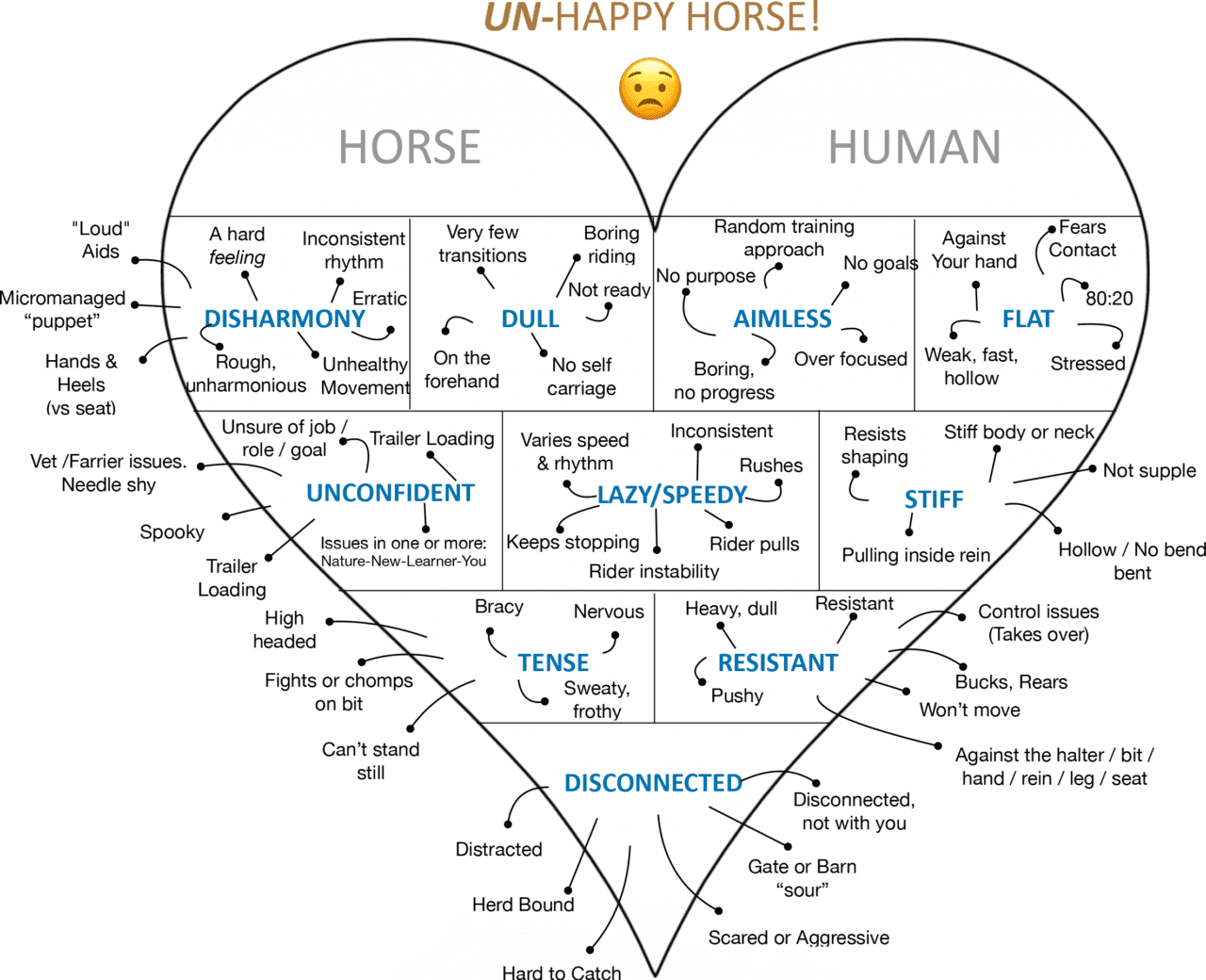 Happy Horse Curriculum Happy Horse Happy Life