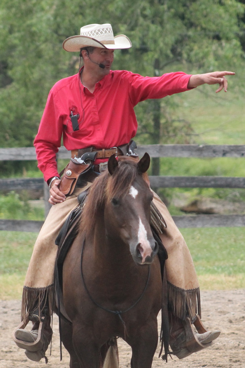 Happy Horse Happy Life